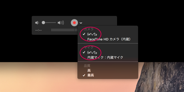 カメラとマイクの選択
