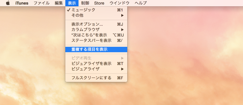 重複する項目を表示