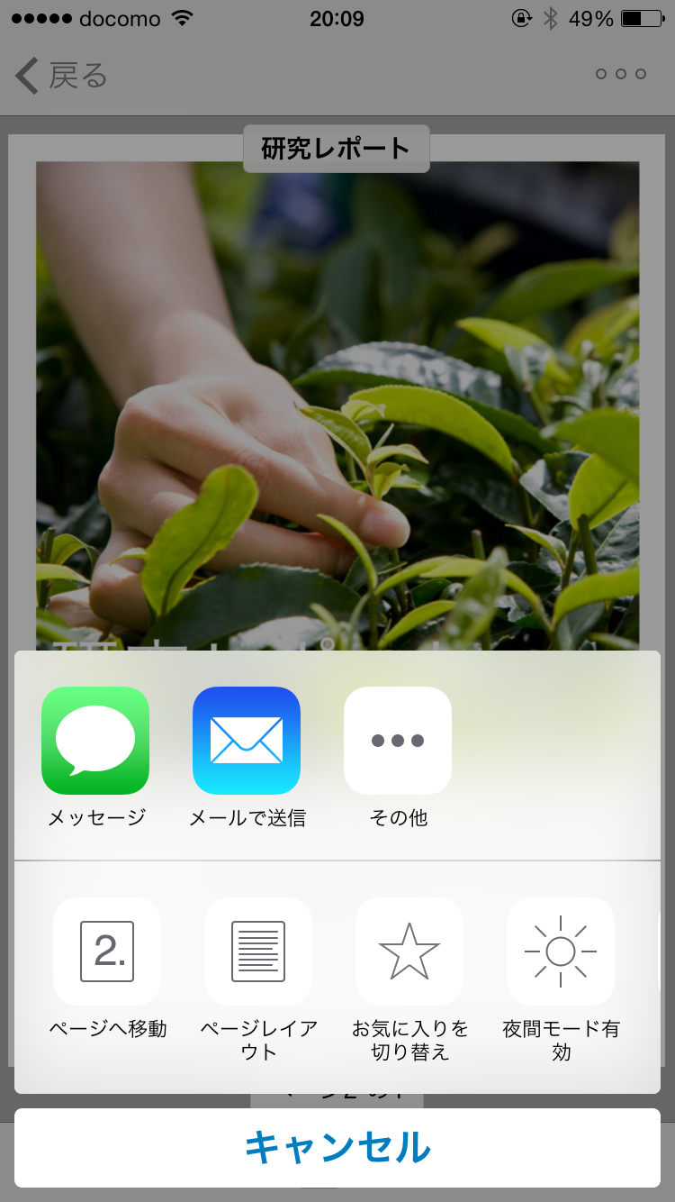 PDFファイル