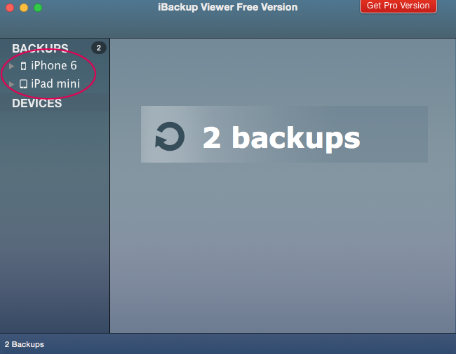 iBackup Viewer