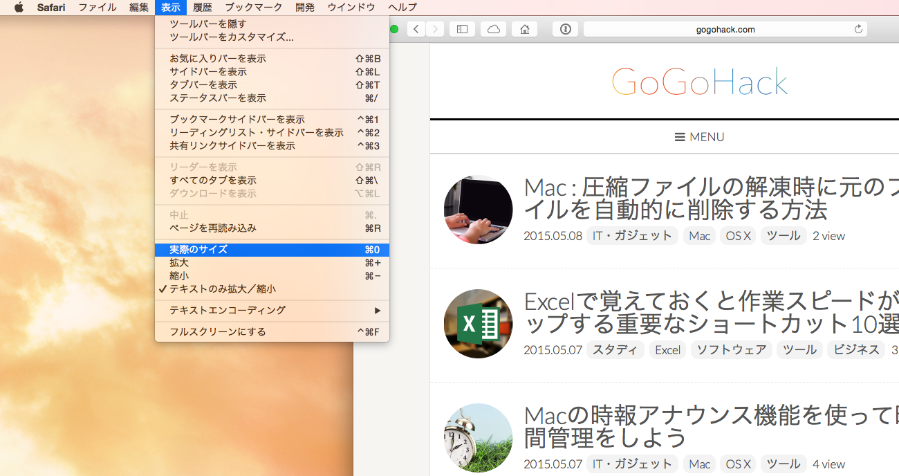 実際のサイズ