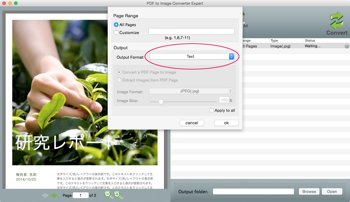 Output Format