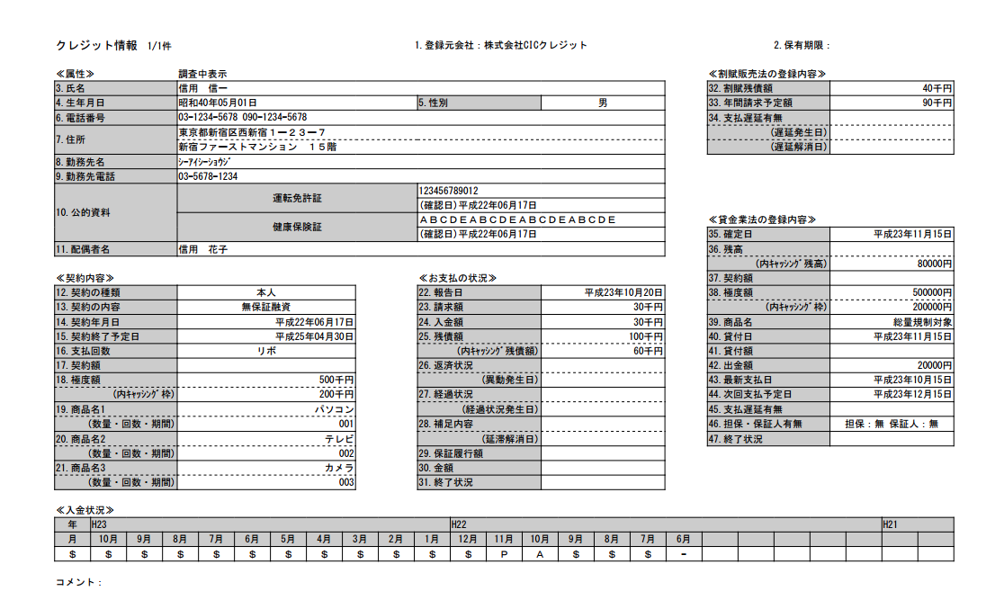 信用情報開示報告書サンプル