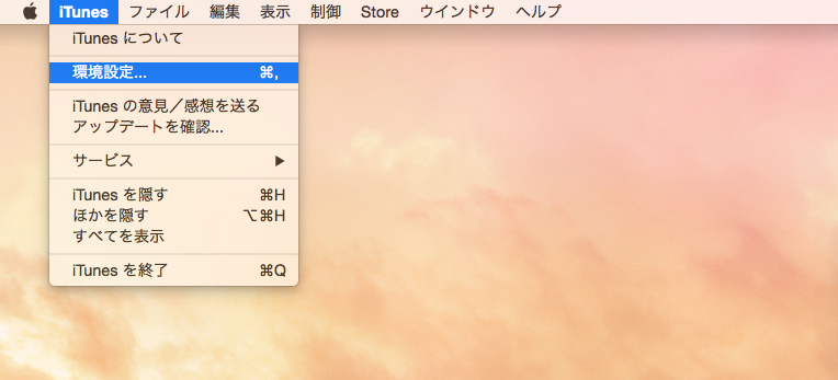 環境設定