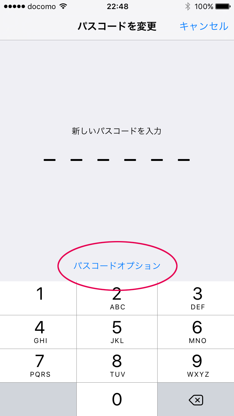 パスコードオプション