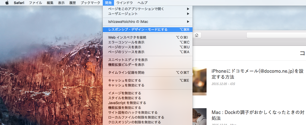 開発メニュー