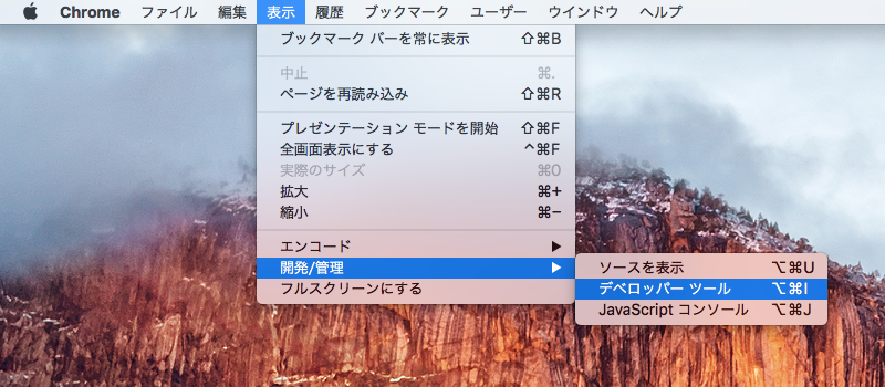 デベロッパー ツール