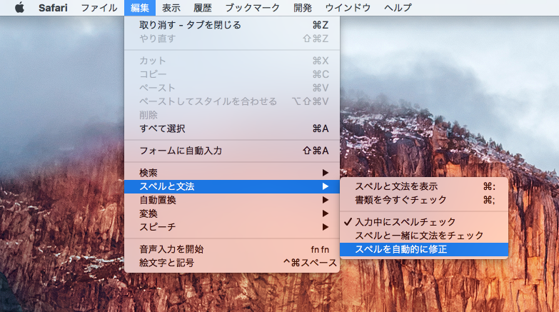 スペルと文法