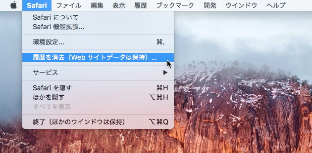 履歴を消去(Webサイトデータは保持)