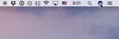 Siriアイコン非表示1